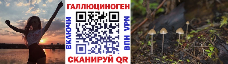Псилоцибиновые грибы прущие грибы  купить наркотик  Ермолино 